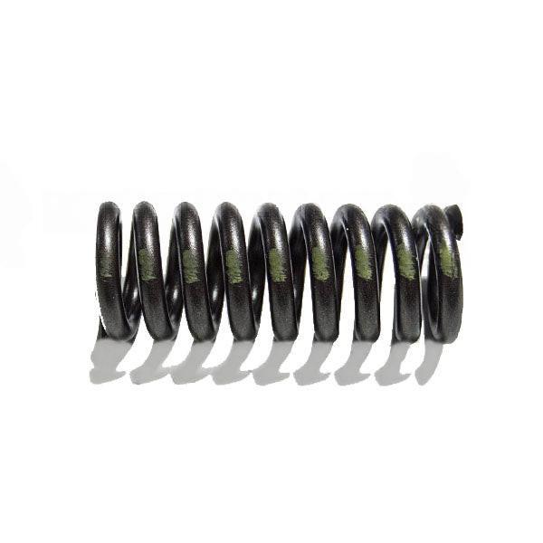 Aftermarket diesel engine part a-8929415, Spring - Valve - Int and Exh