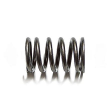 Aftermarket diesel engine part m-1842146c1, Spring - Valve - Int and Exh