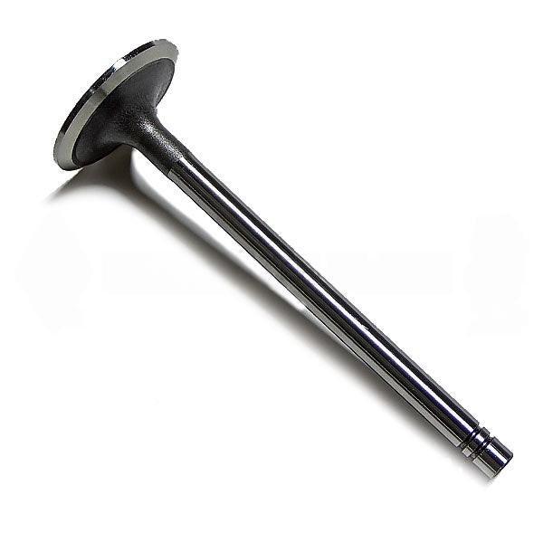 Aftermarket diesel engine part m-9n180, Valve - Intake